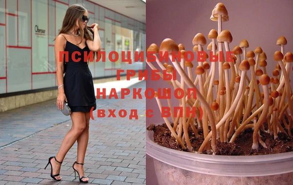 твердый Гусиноозёрск