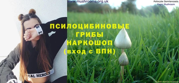 твердый Абаза