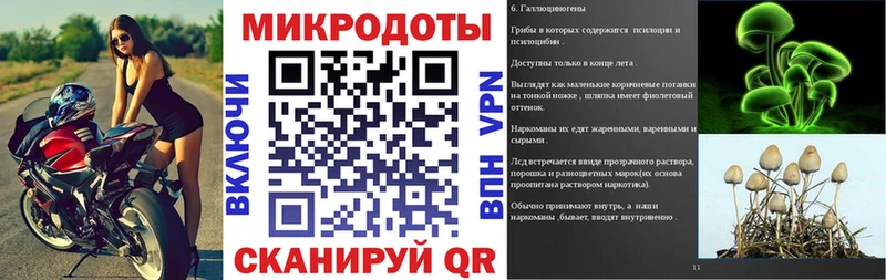 Галлюциногенные грибы Magic Shrooms  где продают наркотики  Фокино 